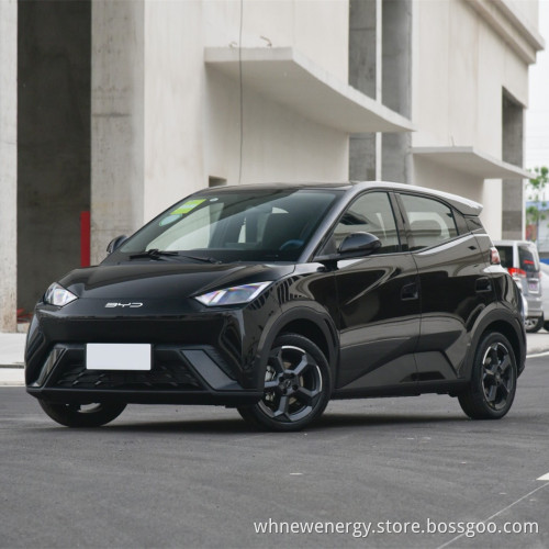 Высококачественный и горячая продажа Электрический автомобиль для Byd Seagull 2023 Flying Type